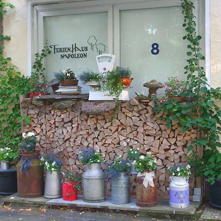 Ferienhaus Napoleon Waldmuenchen Exterior photo