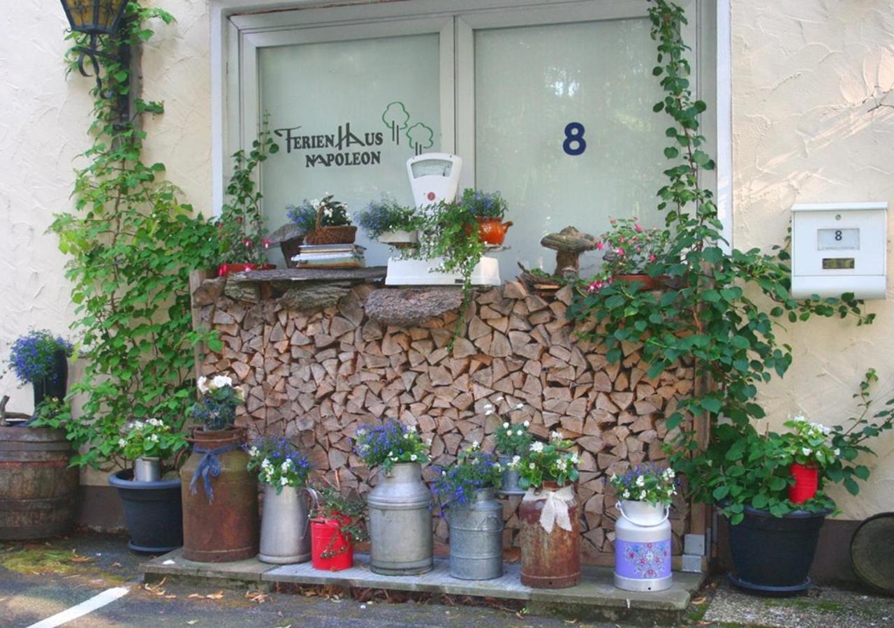 Ferienhaus Napoleon Waldmuenchen Exterior photo